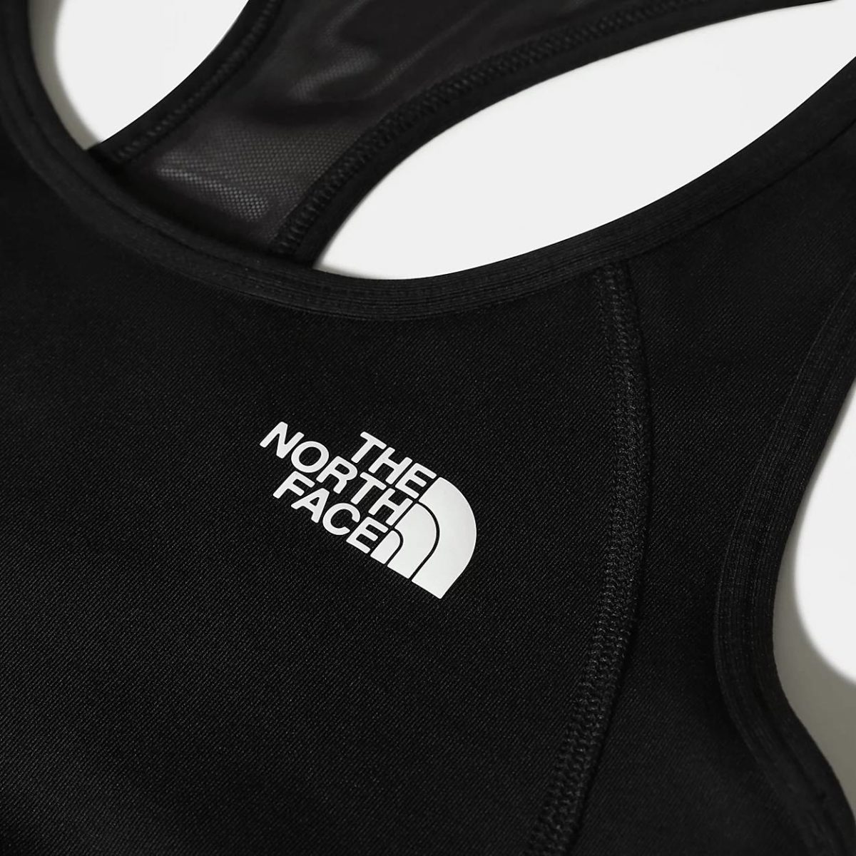 The North Face Fast and Light CH 048