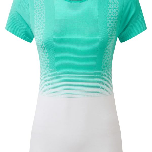 Ronhill Womens tech Marathon S S tee Grec Green Br White RH @Fast and Light for a nice price