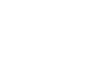inov logo