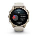 Garmin Fenix