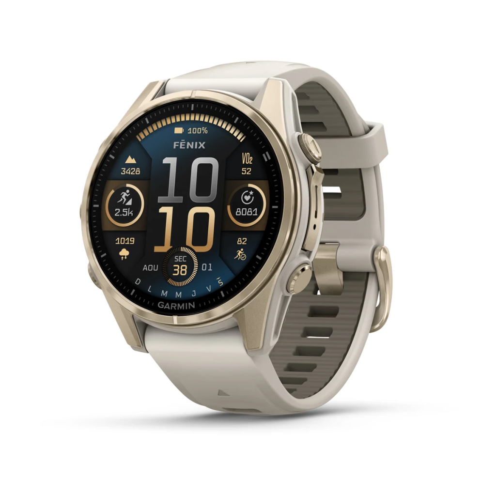 Garmin Fenix Pro